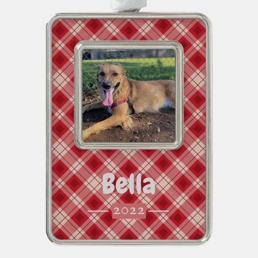 赤い格子模様のペット写真フレームオーナメント(年名) シルバープレートフレームオーナメント (正面)