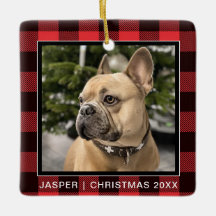 赤い格子模様|ファミリードッグ写真記念クリスマス