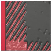 赤い格子織物 ファブリック (見本)