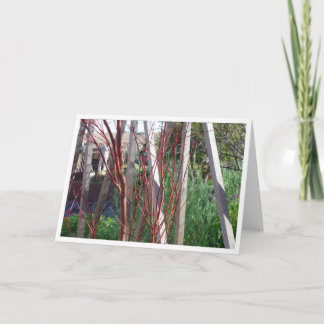 赤い棒及び白の棒 カード