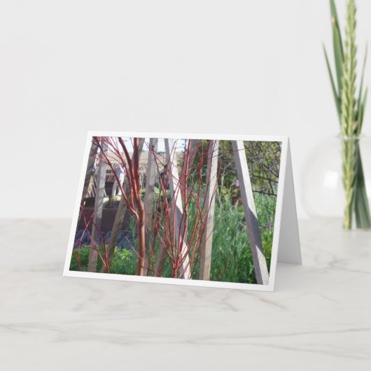 赤い棒及び白の棒 カード (正面)