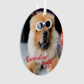 赤い検疫仲間の犬がクリスマス写真を撮る オーナメント (正面)