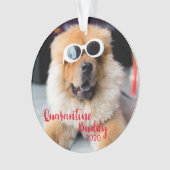 赤い検疫仲間の犬がクリスマス写真を撮る オーナメント (正面)