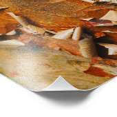 赤い樹皮 フォトプリント            (角)