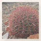 赤い樽サボテンの砂漠植物の風景 ガラスコースター (正面)