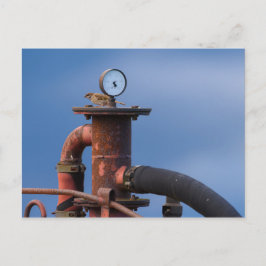 赤い機械はがきの上に腰掛ける雀 ポストカード