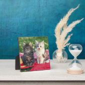 赤い毛布に座っている子猫たち フォトプラーク (インサイチュ)