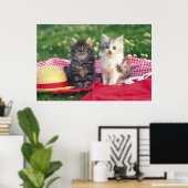 赤い毛布に座っている子猫たち ポスター (ホームオフィス)