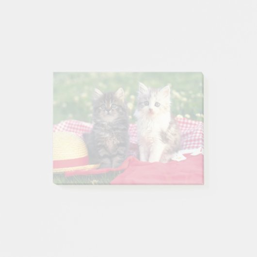 赤い毛布に座っている子猫たち ポストイット (正面)