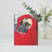 赤い毛布の犬の肖像画 ポストカード (スタンド正面)