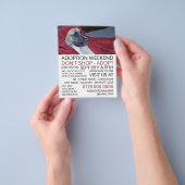 赤い毛布の犬、ペットの里親募広告集イベント チラシ (手)