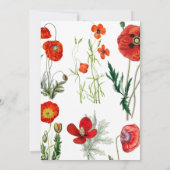 赤い水の色ポピー花模様ベビーシャワー 招待状 (裏面)