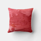 赤い水彩画 家族のルール, 名前と設立年 クッション (裏面)