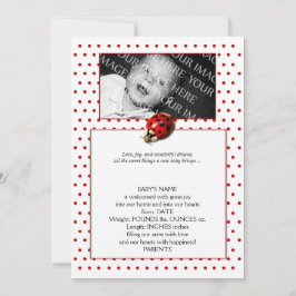 赤い水玉模様のLadybugフレームベビー発表 案内状
