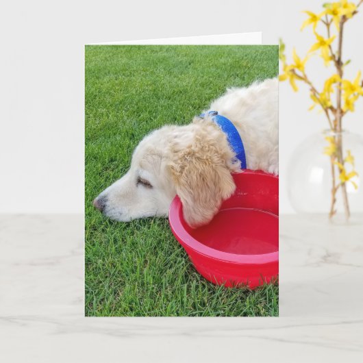 赤い水鉢を持って早く良い犬を飼う カード (黄色い花)