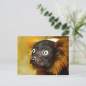 赤い波紋のざわめき葉書 ポストカード (スタンド正面)