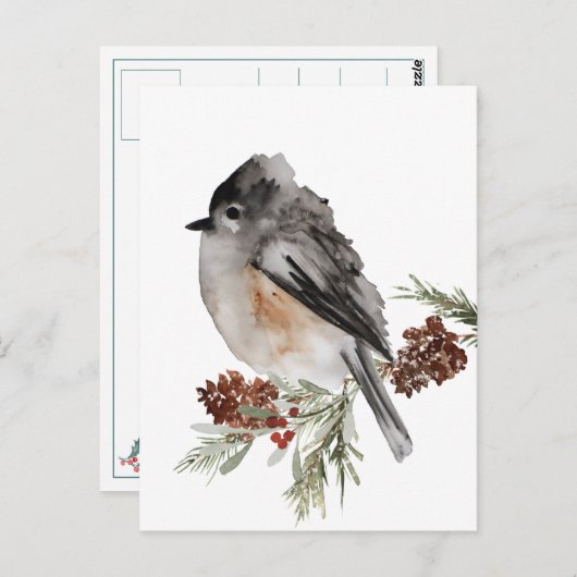 赤い漿果を持つトウヒに休むツバメ ポストカード (正面/裏面)