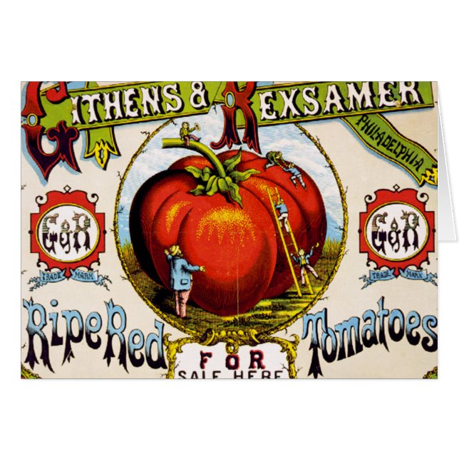 赤い熟したトマトが売られる – ビンテージ広告 (正面横)