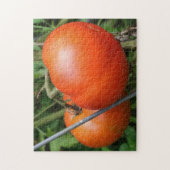 赤い熟した庭のトマトのつる植物自然 ジグソーパズル (縦)