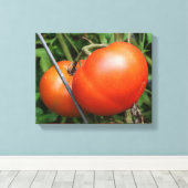 赤い熟した庭のトマトのつる植物 キャンバスプリント (インサイチュ (ウッドフロア))