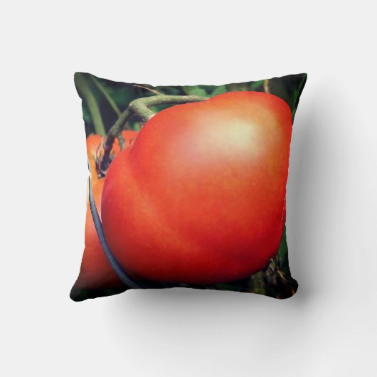 赤い熟した庭のトマトのつる植物 クッション (裏面)