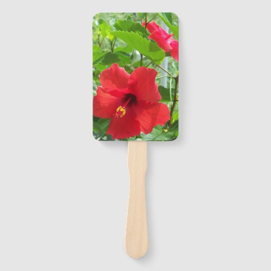 赤い熱帯ハイビスカスの花の写真 ハンドファン (正面)