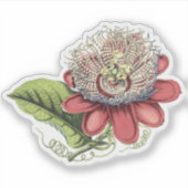 赤い熱帯性受精花 シール (正面)