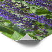 赤い牡丹と紫の花写真 ポスター (角)