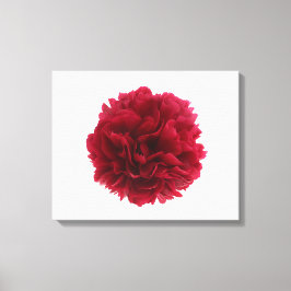 赤い牡丹 キャンバスプリント