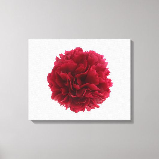 赤い牡丹 キャンバスプリント (正面)