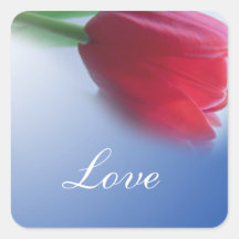 赤い独身のチューリップ