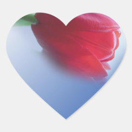 赤い独身のチューリップ ハートシール