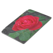 赤い独身のバラ iPad AIR カバー (横)