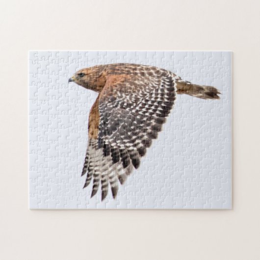 赤い猫背のタカが飛んでいる ジグソーパズル (横)
