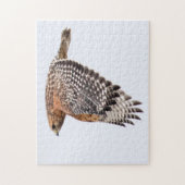 赤い猫背のタカが飛んでいる ジグソーパズル (縦)