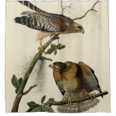 赤い猫背のタカ – オードボンのアメリカの鳥 シャワーカーテン (正面)