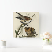 赤い猫背のタカ – オードボンのアメリカの鳥 スクエア壁時計 (ホーム)