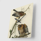 赤い猫背のタカ – オードボンのアメリカの鳥 スクエア壁時計 (傾斜)