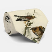 赤い猫背のタカ – オードボンのアメリカの鳥 ネクタイ (ロール)