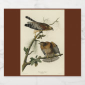 赤い猫背のタカ – オードボンのアメリカの鳥 ビールラベル (シングルラベル)