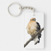 赤い猫背のタカ キーホルダー (正面)