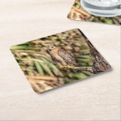 赤い猫背のタカ スクエアペーパーコースター (アングル)