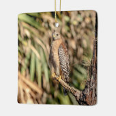 赤い猫背のタカ セラミックオーナメント (左)