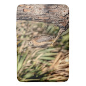 赤い猫背のタカ バスマット (正面縦)