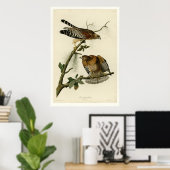 赤い猫背のタカ ポスター (ホームオフィス)