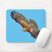 赤い猫背のタカ マウスパッド (マウス)