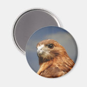 赤い猫背のタカ マグネット (正面/裏面)