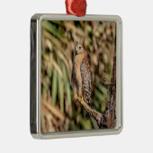 赤い猫背のタカ メタルオーナメント (右)