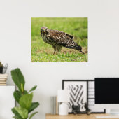 赤い猫背の鷹のポスター ポスター (ホームオフィス)