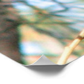 赤い猫背の鷹のポスター ポスター (角)